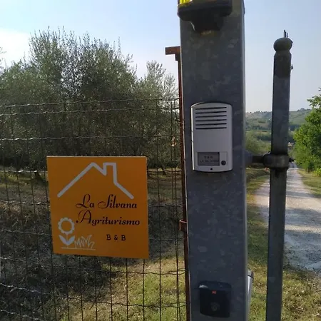 La Silvana B&B-3